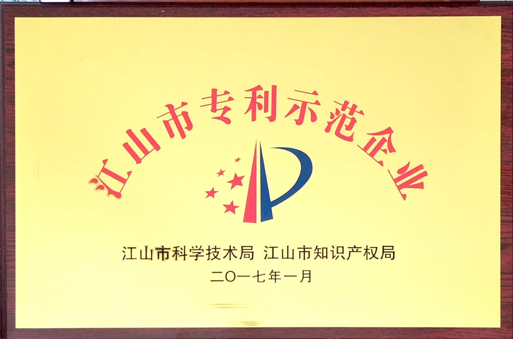 江山市專(zhuān)利示范企業(yè)